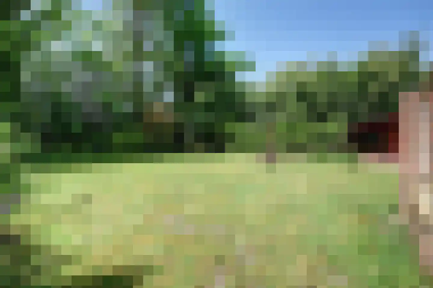 't Schoman 30 Gelselaar thumbnail 26