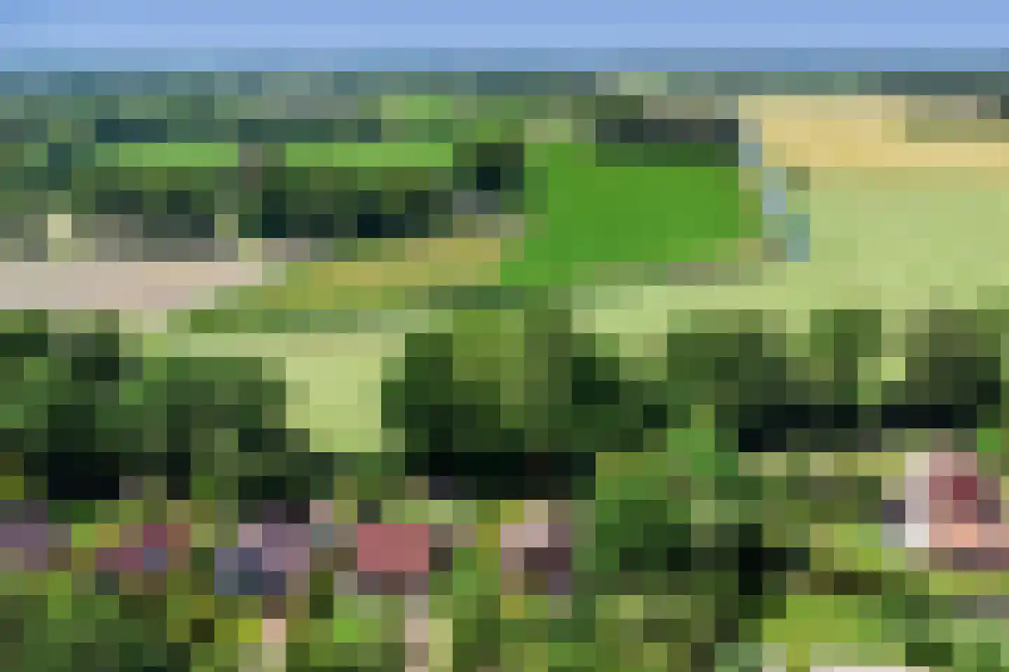 't Schoman 30 Gelselaar thumbnail 31