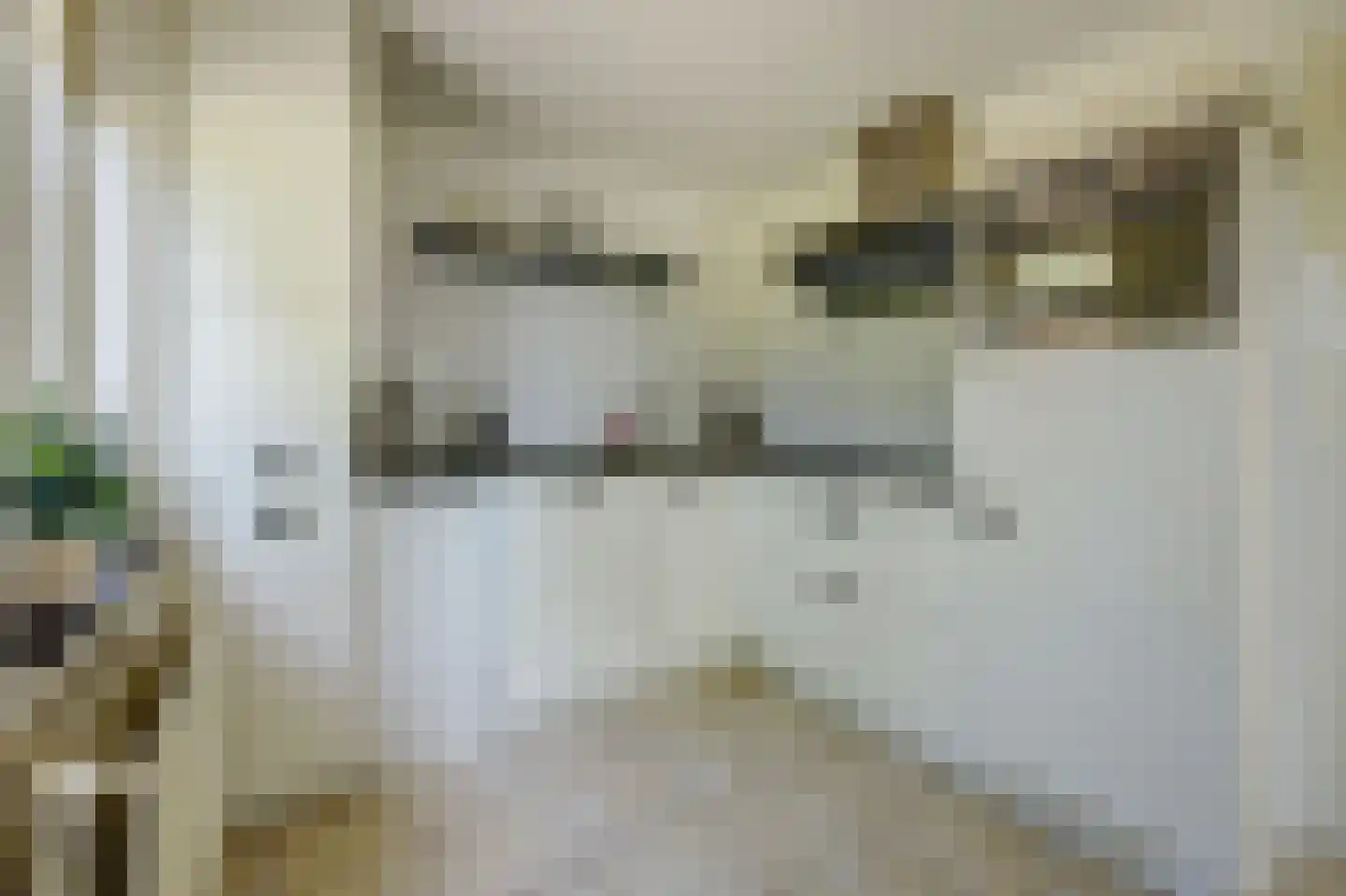 't Schoman 30 Gelselaar thumbnail 4