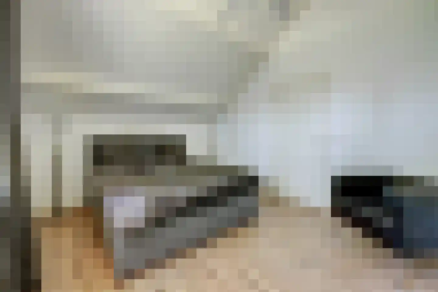 't Schoman 30 Gelselaar thumbnail 6