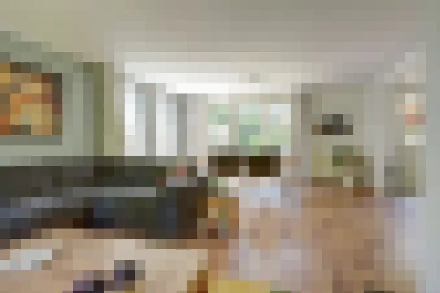 't Schoman 30 Gelselaar thumbnail 8