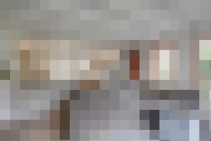 't Schoman 35 Gelselaar thumbnail 11