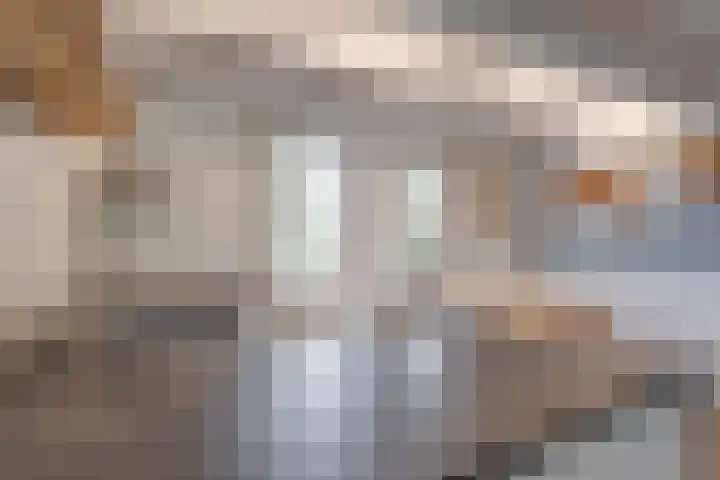 't Schoman 35 Gelselaar thumbnail 12