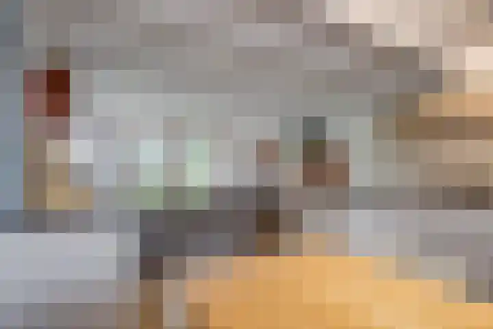't Schoman 35 Gelselaar thumbnail 13