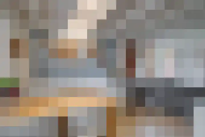 't Schoman 35 Gelselaar thumbnail 14