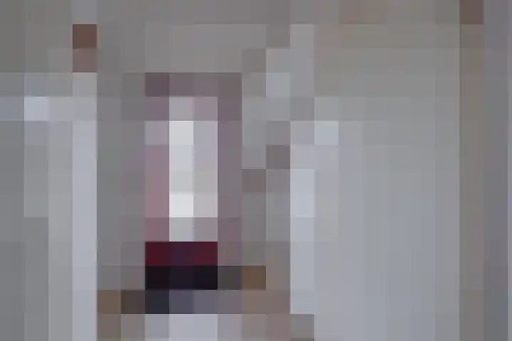 't Schoman 35 Gelselaar thumbnail 15
