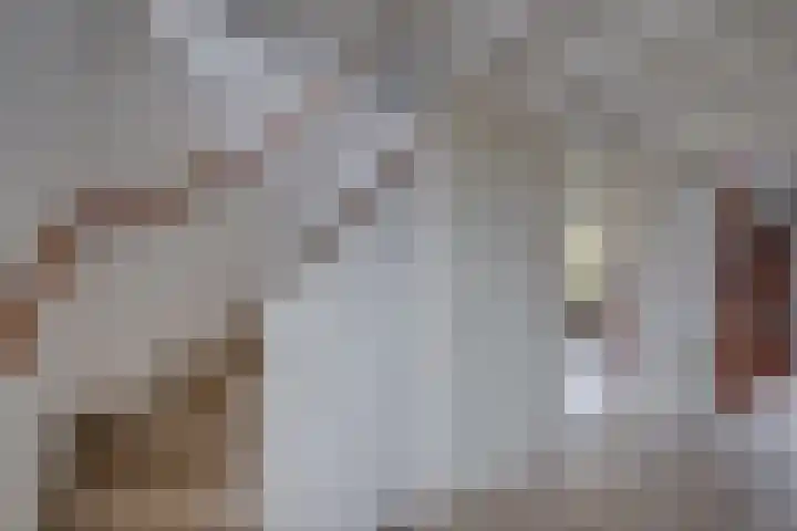 't Schoman 35 Gelselaar thumbnail 16