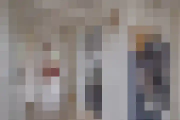 't Schoman 35 Gelselaar thumbnail 17