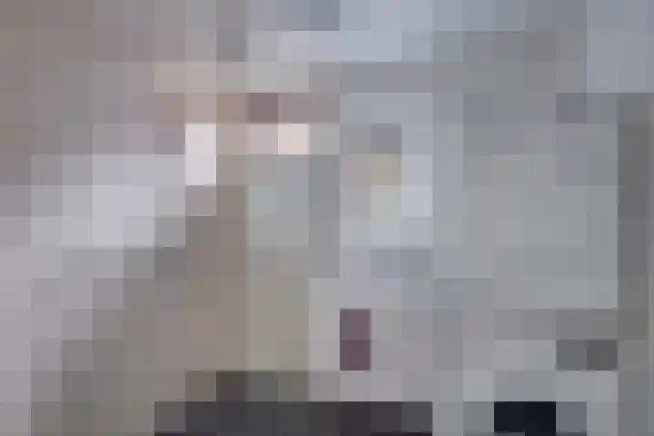 't Schoman 35 Gelselaar thumbnail 19