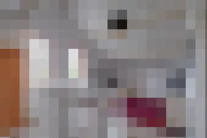 't Schoman 35 Gelselaar thumbnail 20