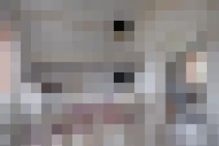 't Schoman 35 Gelselaar thumbnail 21