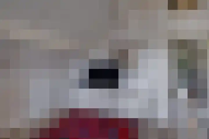't Schoman 35 Gelselaar thumbnail 22