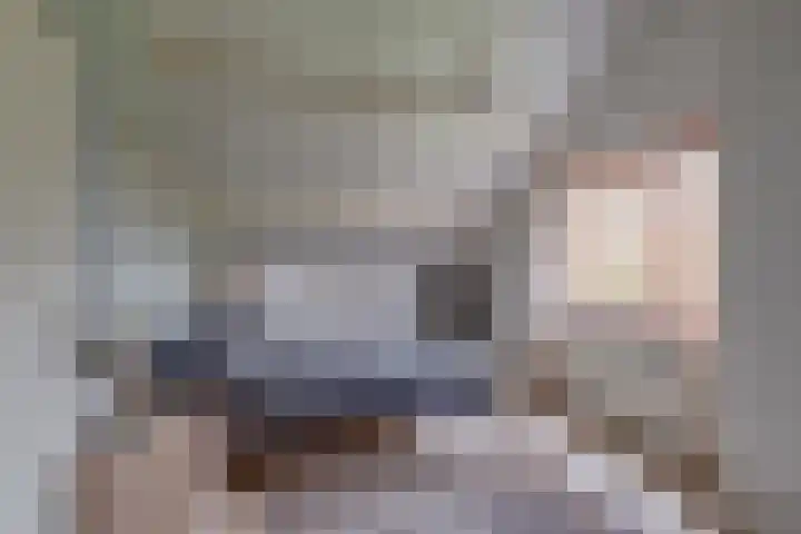't Schoman 35 Gelselaar thumbnail 23