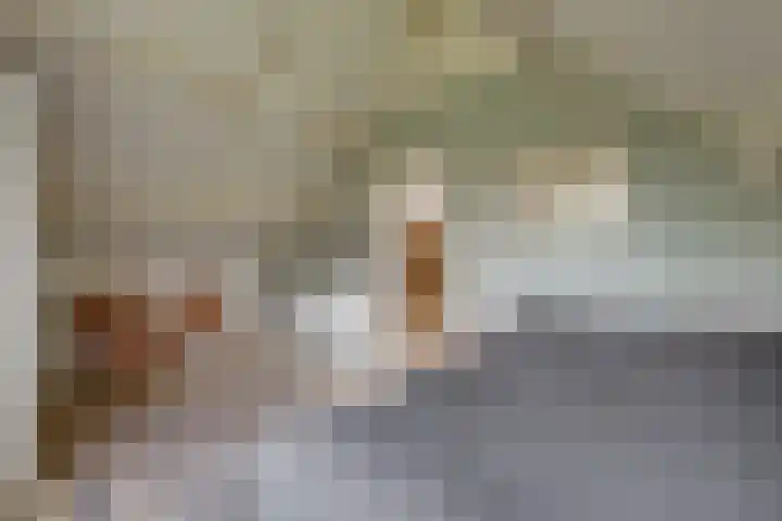 't Schoman 35 Gelselaar thumbnail 24