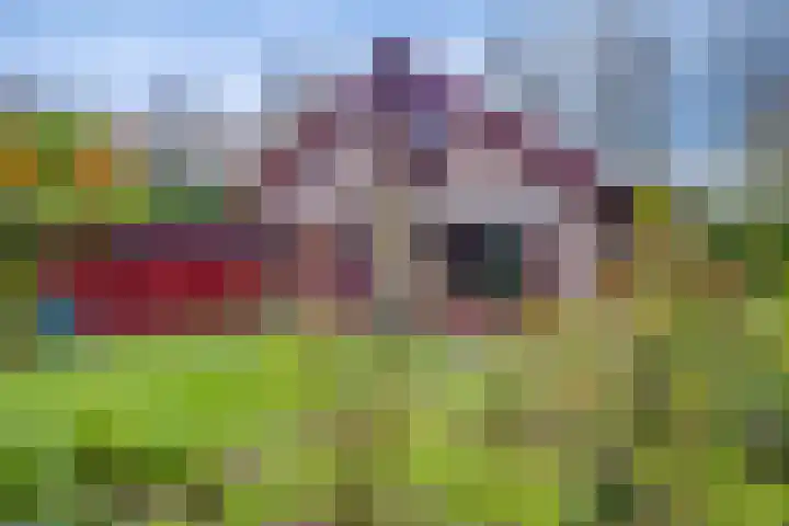 't Schoman 35 Gelselaar thumbnail 25