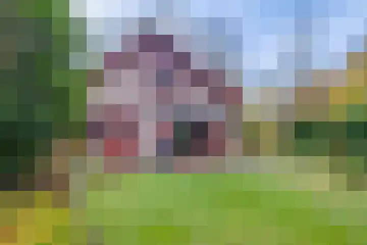 't Schoman 35 Gelselaar thumbnail 26