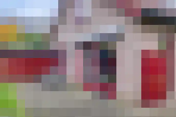 't Schoman 35 Gelselaar thumbnail 27