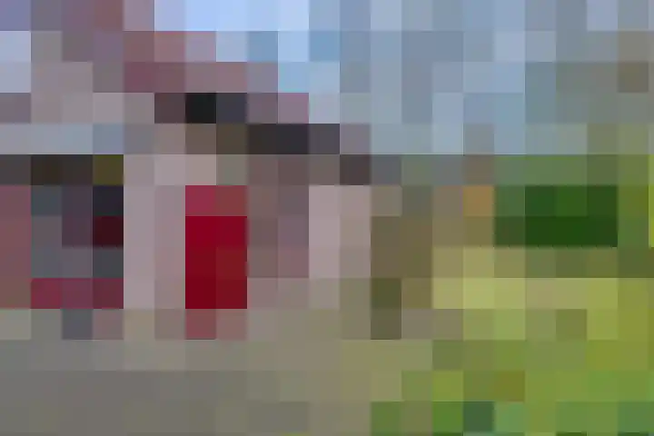 't Schoman 35 Gelselaar thumbnail 28