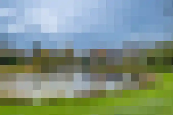 't Schoman 35 Gelselaar thumbnail 29