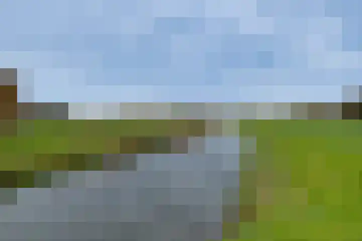 't Schoman 35 Gelselaar thumbnail 30
