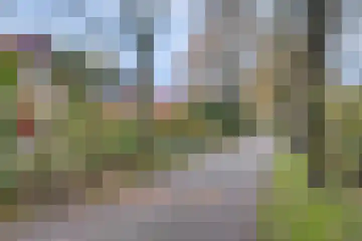 't Schoman 35 Gelselaar thumbnail 31