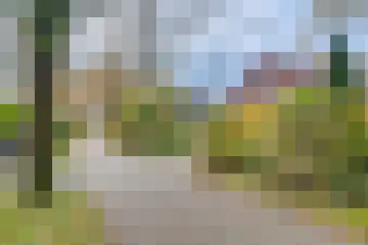 't Schoman 35 Gelselaar thumbnail 32