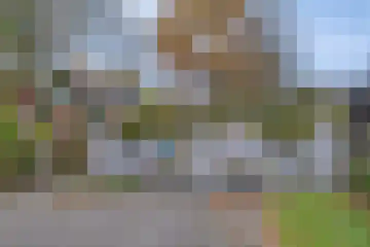 't Schoman 35 Gelselaar thumbnail 34