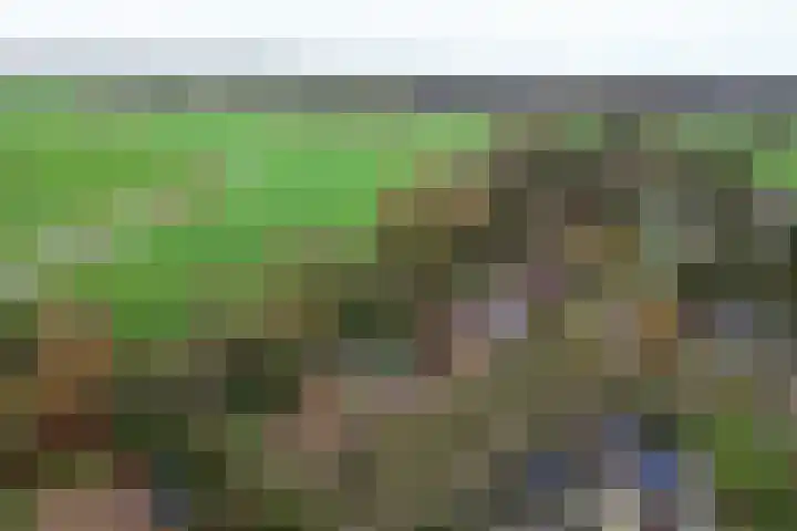 't Schoman 35 Gelselaar thumbnail 35