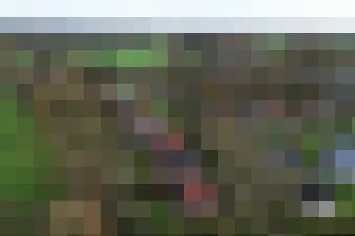 't Schoman 35 Gelselaar thumbnail 36