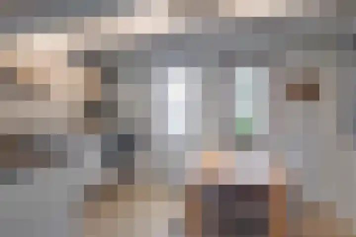 't Schoman 35 Gelselaar thumbnail 6