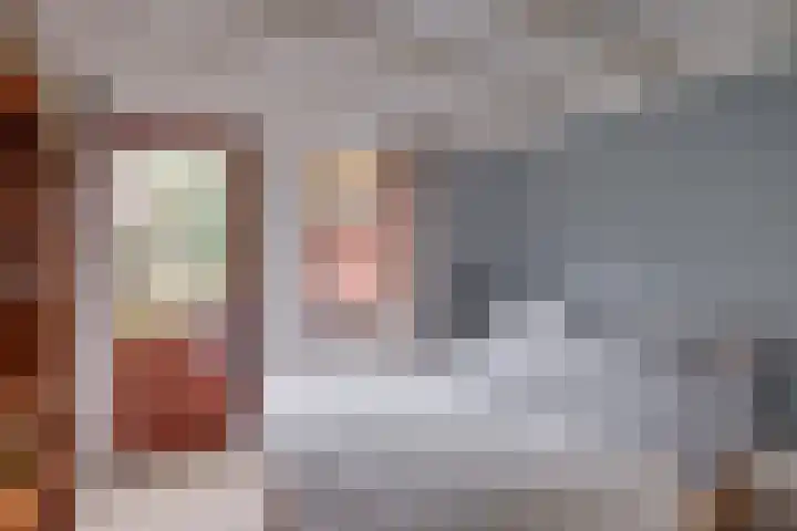 't Schoman 35 Gelselaar thumbnail 7