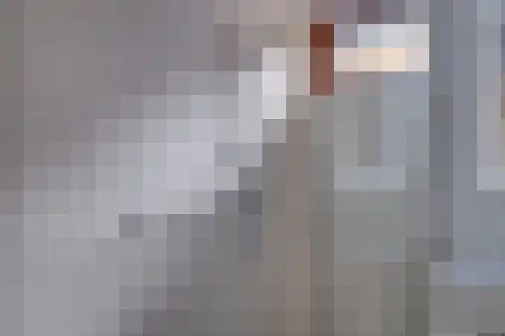 't Schoman 35 Gelselaar thumbnail 8