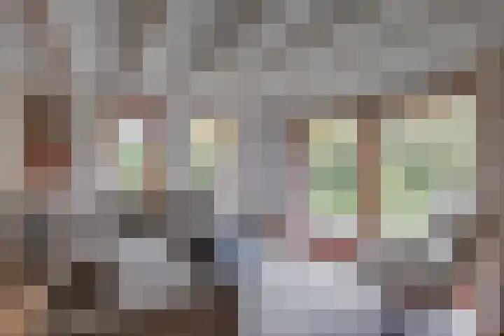 't Schoman 35 Gelselaar thumbnail 9