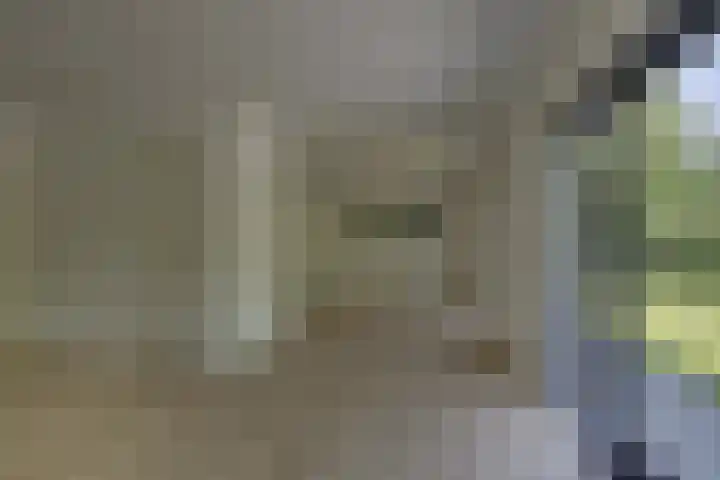 't Schoman 66 Diepenheim thumbnail 10