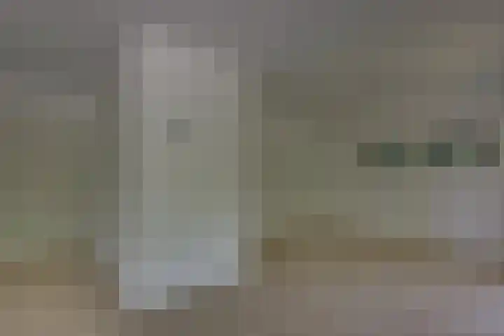 't Schoman 66 Diepenheim thumbnail 11