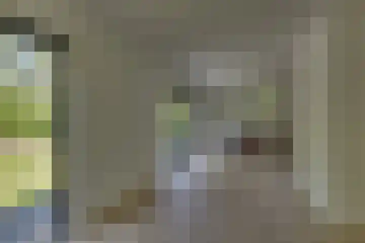 't Schoman 66 Diepenheim thumbnail 12