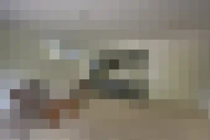 't Schoman 66 Diepenheim thumbnail 13