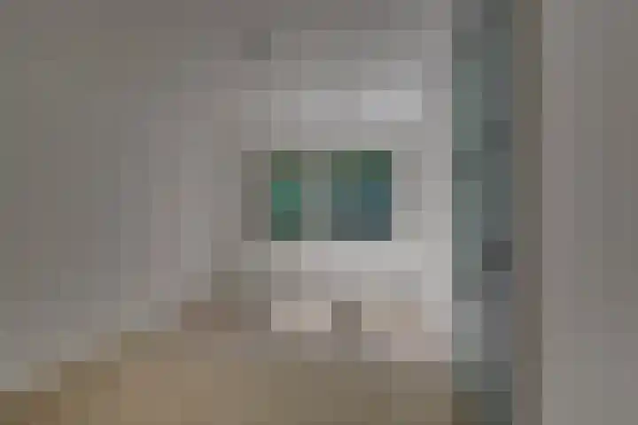 't Schoman 66 Diepenheim thumbnail 15