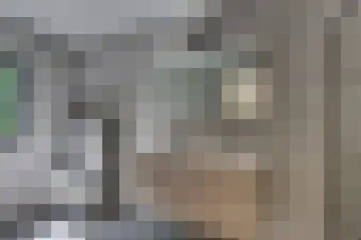 't Schoman 66 Diepenheim thumbnail 17