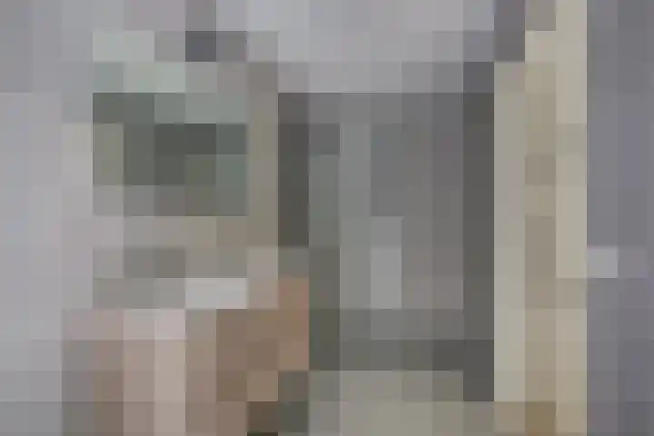 't Schoman 66 Diepenheim thumbnail 18
