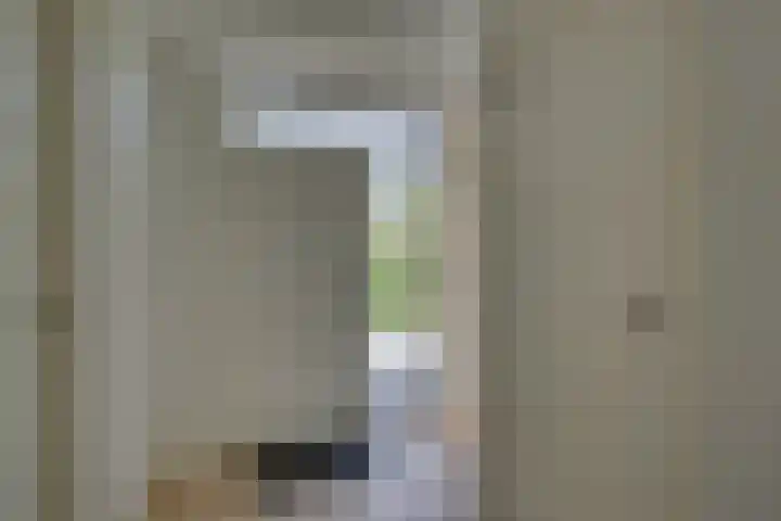 't Schoman 66 Diepenheim thumbnail 19