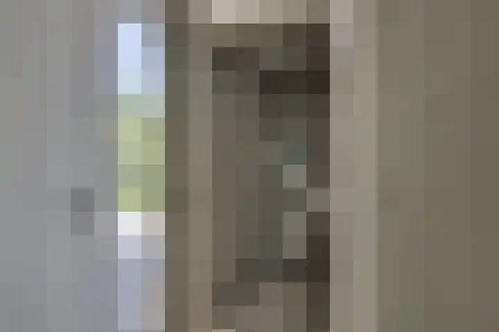 't Schoman 66 Diepenheim thumbnail 20