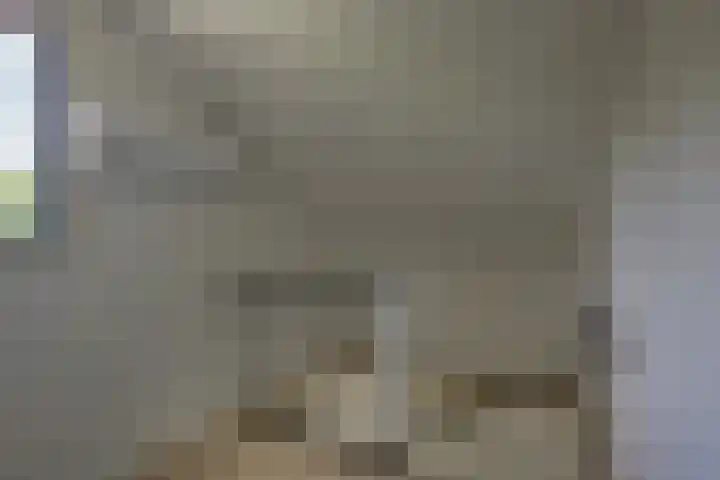 't Schoman 66 Diepenheim thumbnail 22