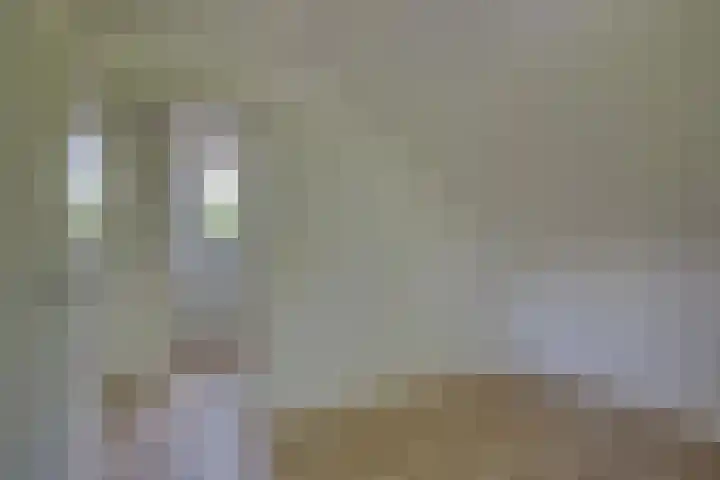 't Schoman 66 Diepenheim thumbnail 24