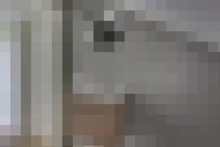 't Schoman 66 Diepenheim thumbnail 28