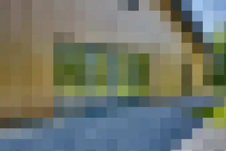't Schoman 66 Diepenheim thumbnail 30