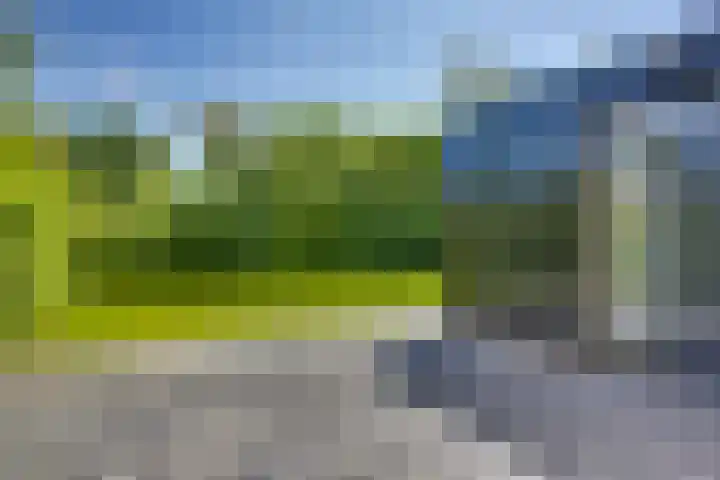 't Schoman 66 Diepenheim thumbnail 31