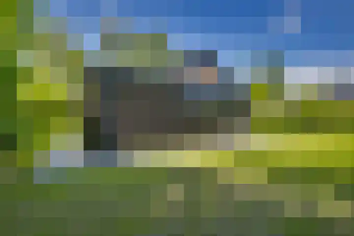 't Schoman 66 Diepenheim thumbnail 32