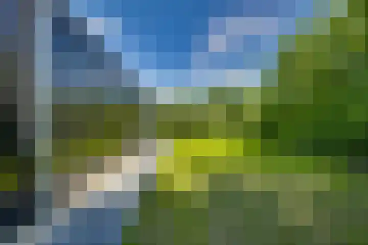 't Schoman 66 Diepenheim thumbnail 33