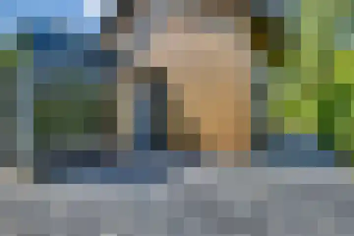 't Schoman 66 Diepenheim thumbnail 34